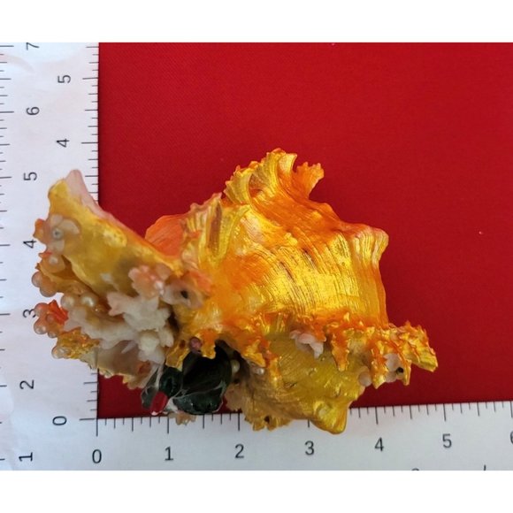 Bird Standing on Sea Shell Table Decor - Picture 7 of 12